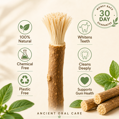 StickBrush — Natural Miswak Toothbrush Stick