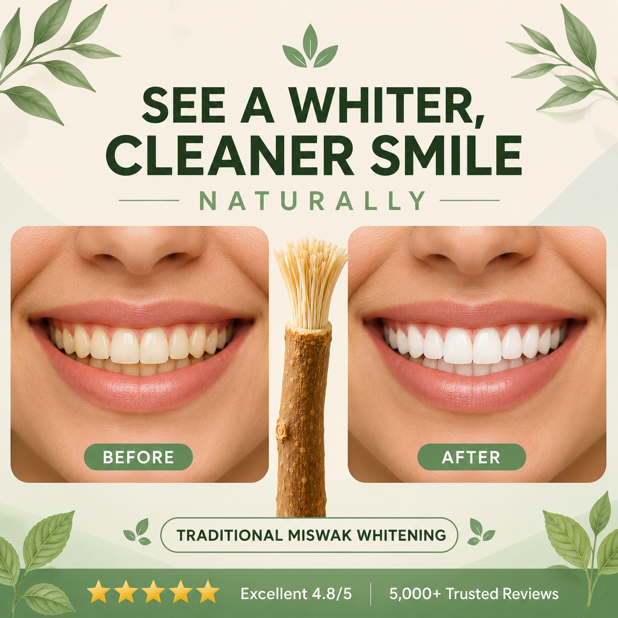 StickBrush — Natural Miswak Toothbrush Stick